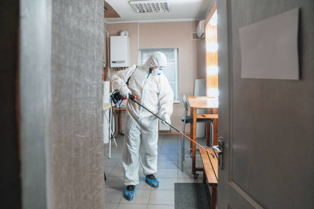 Asbestos and Lead Testing During Mold Inspection in Fairhope, PA