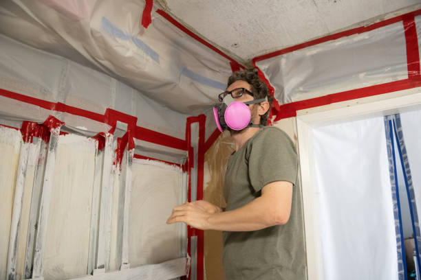 Mold Remediation for Vacation Homes