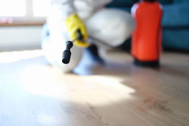  Fairhope, PA Mold Removal Pros